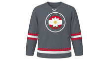 Load image into Gallery viewer, Austrian National Day Original Hockey Jersey in Stone Gray, front view – custom name and number