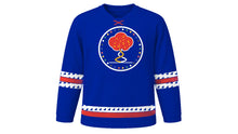 Load image into Gallery viewer, Day of Reconciliation Original Hockey Jersey in Navy Blue, front view – custom name and number