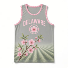 Load image into Gallery viewer, Delaware Peach Blossom Original Basketball Jersey in Bay Gray, front view – custom name and number