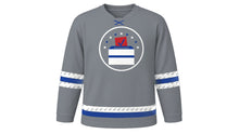 Load image into Gallery viewer, Election Day Original Hockey Jersey in Gray, front view – custom name and number