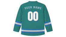 Load image into Gallery viewer, Pittsburgh Original Hockey Jersey in Riverstone Teal, back view with your name and number