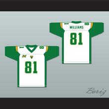 Load image into Gallery viewer, Daniel Williams 81 Tampa Bay Away Football Jersey