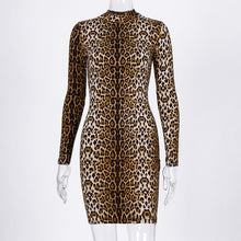 Load image into Gallery viewer, Dulzura 2019 autumn winter women midi dress party bodycon festival tiger leopard animal print sexy plus size office clothes