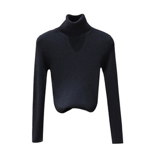 Laamei Twist Pattern Sweaters Women Autumn Winter Fashion Basic Pullover Female Jumpers Long Sleeve Pull Femme Casual Knitted