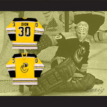 Load image into Gallery viewer, WHA Michel Dion 30 Cincinnati Stingers Hockey Jersey