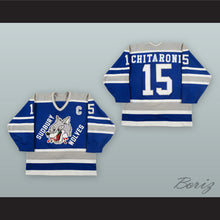 Load image into Gallery viewer, Terry Chitaroni 15 Sudbury Wolves Blue Hockey Jersey