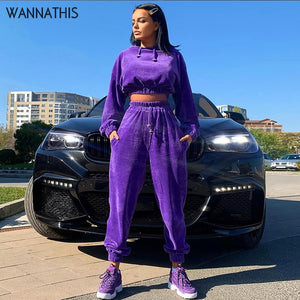 WannaThis Hooded Jackets Women 2 Piece Set Autumn Winter Top And Sporting Pants Sweat Suit Two Piece Outfit Matching Sets Soft